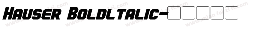 Hauser Boldltalic字体转换